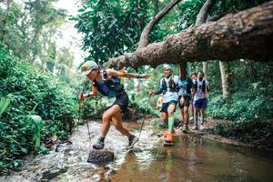 BIB: 
                            <button type="button" onclick="openModal(25368769)" class="btn btn-primary btn-sm float-right btn-popup" data-toggle="modal" data-target=".modal-high-quality">
                        <i class="fas fa-shopping-cart"></i> Add to Cart
                    </button>
                                            <button type="button" onclick="isThisMe(25368769, true)" class="btn btn-success btn-sm float-right btn-popup btn-isme hidden" data-toggle="tooltip" data-placement="bottom" title="นี่คือรูปของคุณใช่ไหม คลิกที่นี่เพื่อเอาเข้าอัลบั้ม">
                        <i class="fas fa-plus"></i> Add to album
                    </button>
                    <button type="button" onclick="isThisMe(25368769, false)" class="btn btn-warning btn-sm float-right btn-popup btn-isnotme hidden">
                        <i class="fas fa-ban"></i> Remove from album
                    </button>